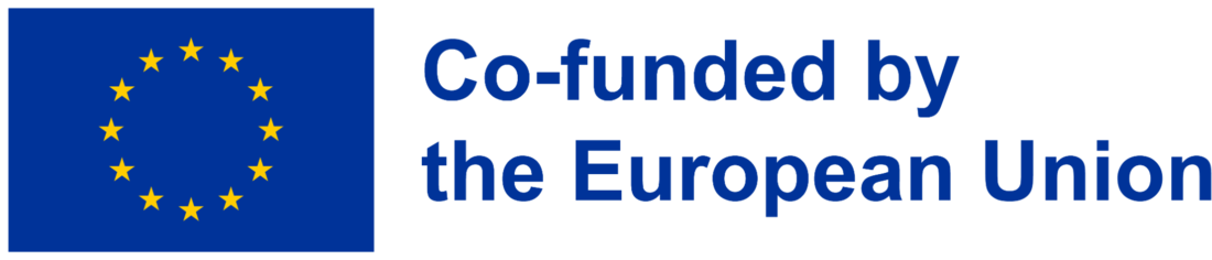 Co-funded by the European Union